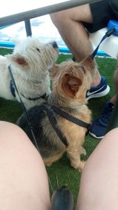 Abby y Shiva